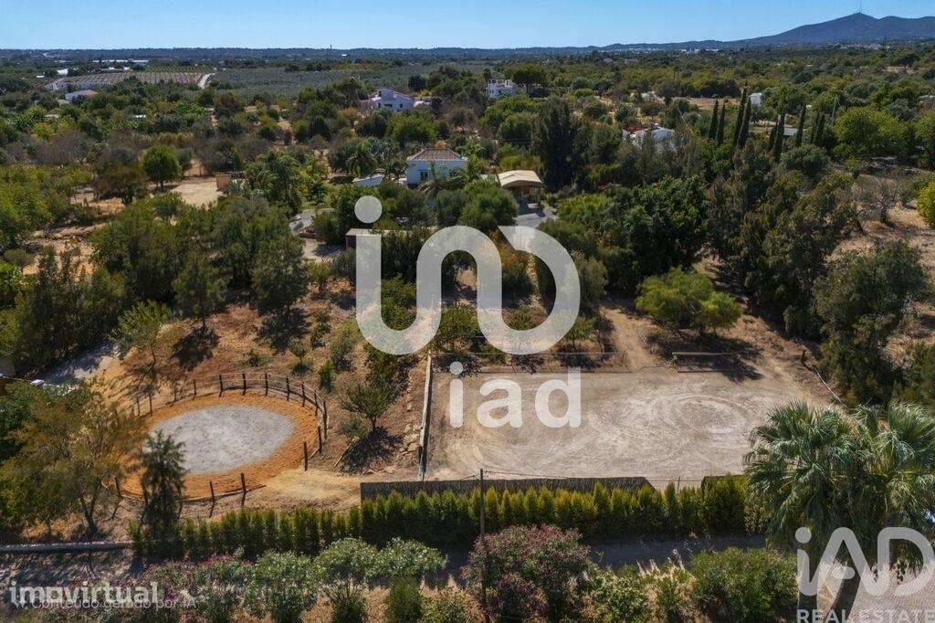 Quinta T6 em Luz de Tavira e Santo Estêvão de 418,00 m2 - Grande imagem: 3/30
