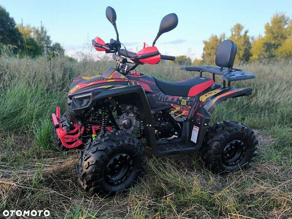 Berreta Bulldog - 5