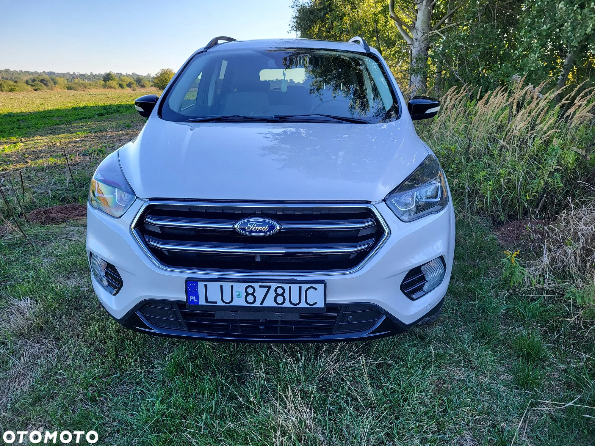 Ford Escape 2.0 EcoBoost AWD Titanium - 12