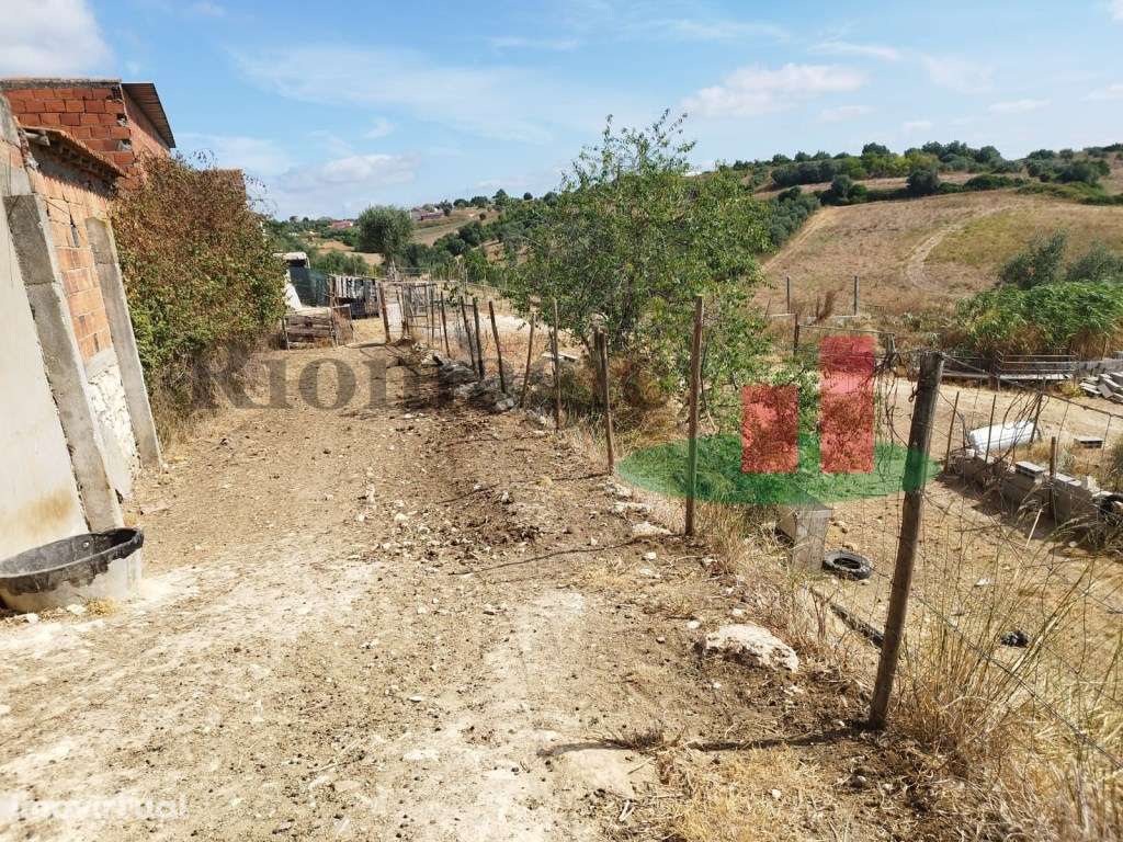 Moradia Azambujeira***RIOMAGIC*** - Grande imagem: 5/23