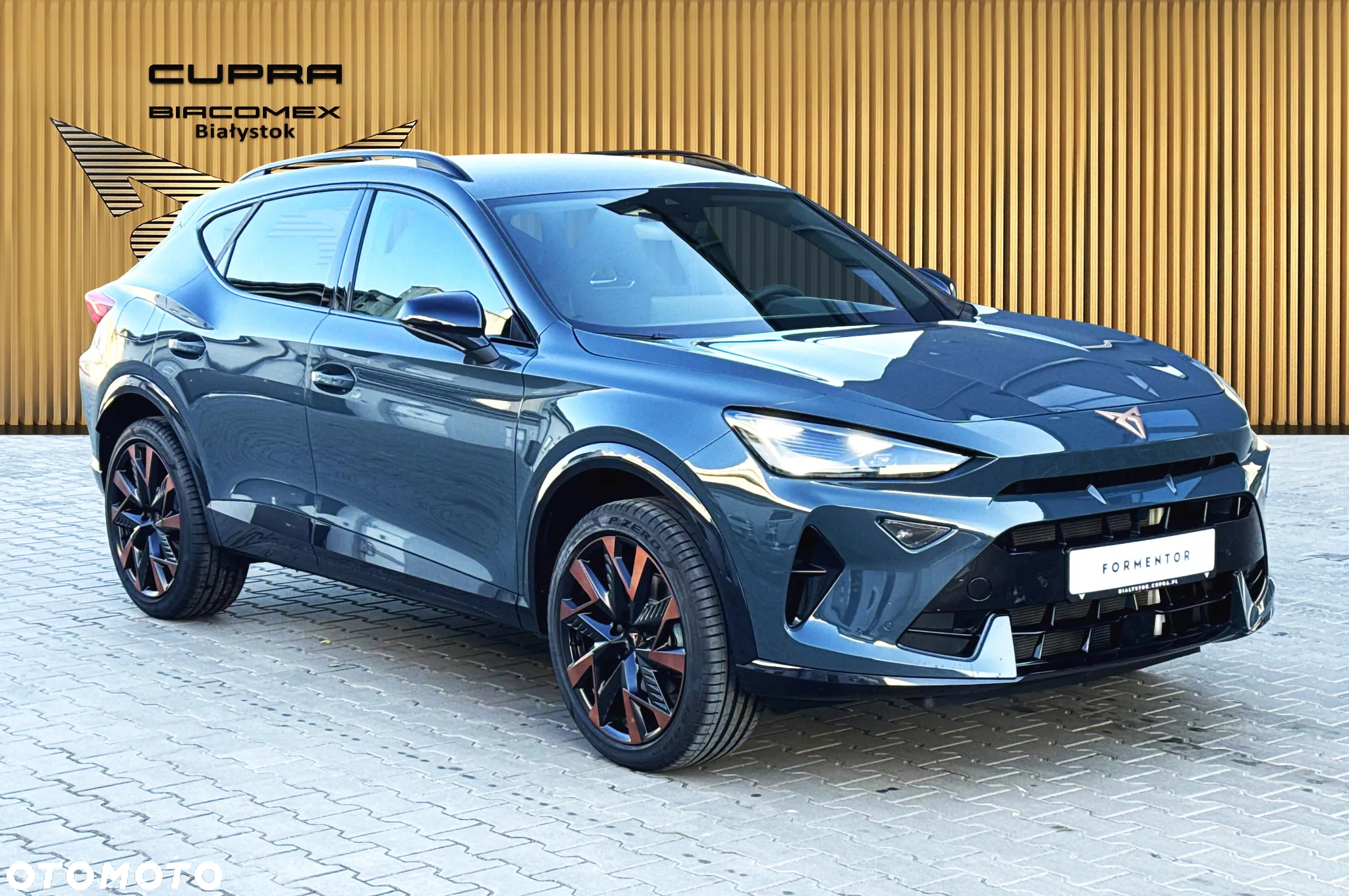 Cupra Formentor 2.0 TSI 4Drive DSG - 8