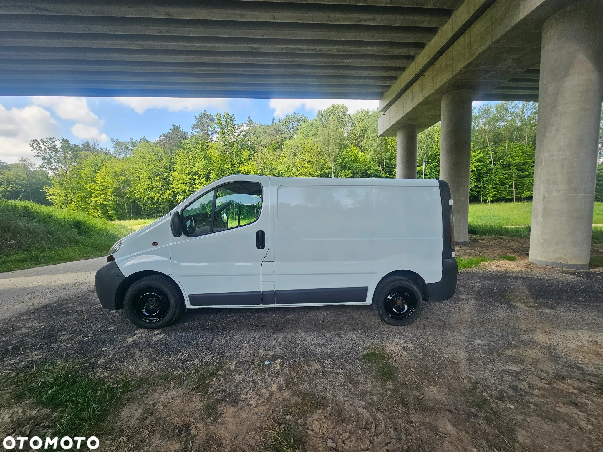 Renault Trafic - 10
