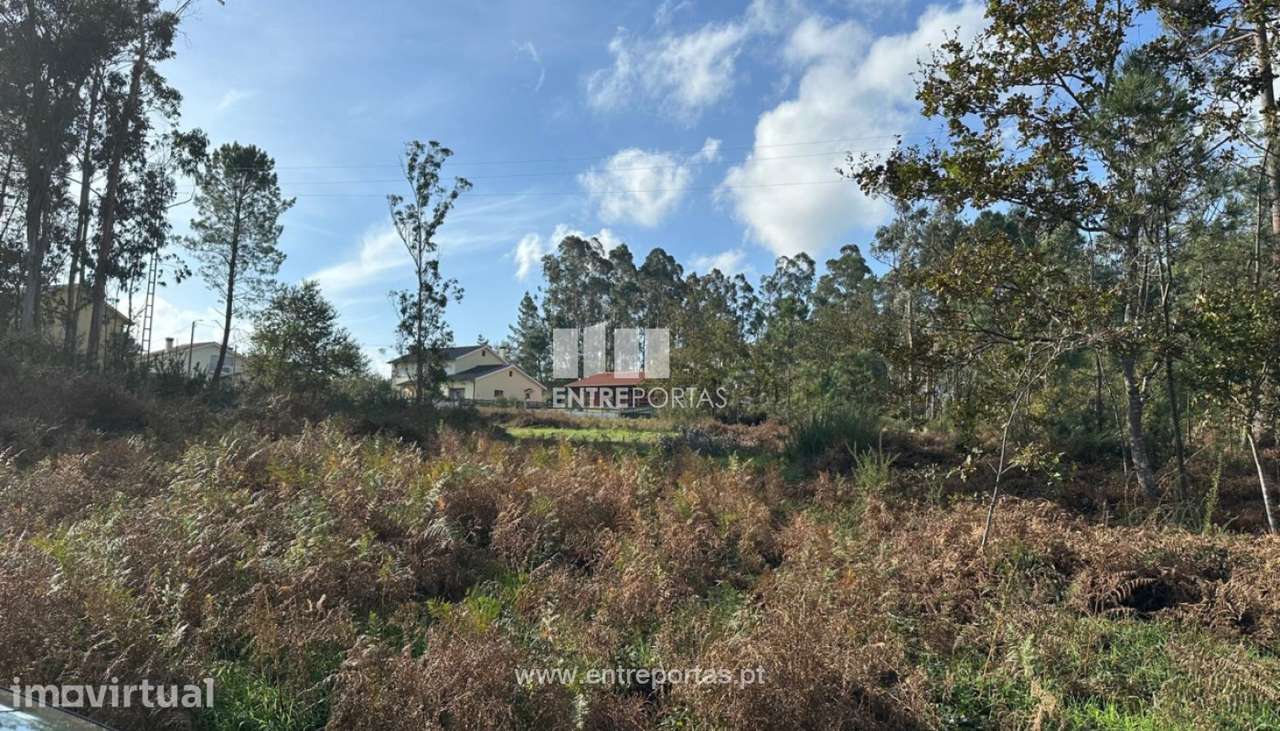 Venda de terreno para construção com 1432m², S. Pedro da Torre, Val - Grande imagem: 3/30