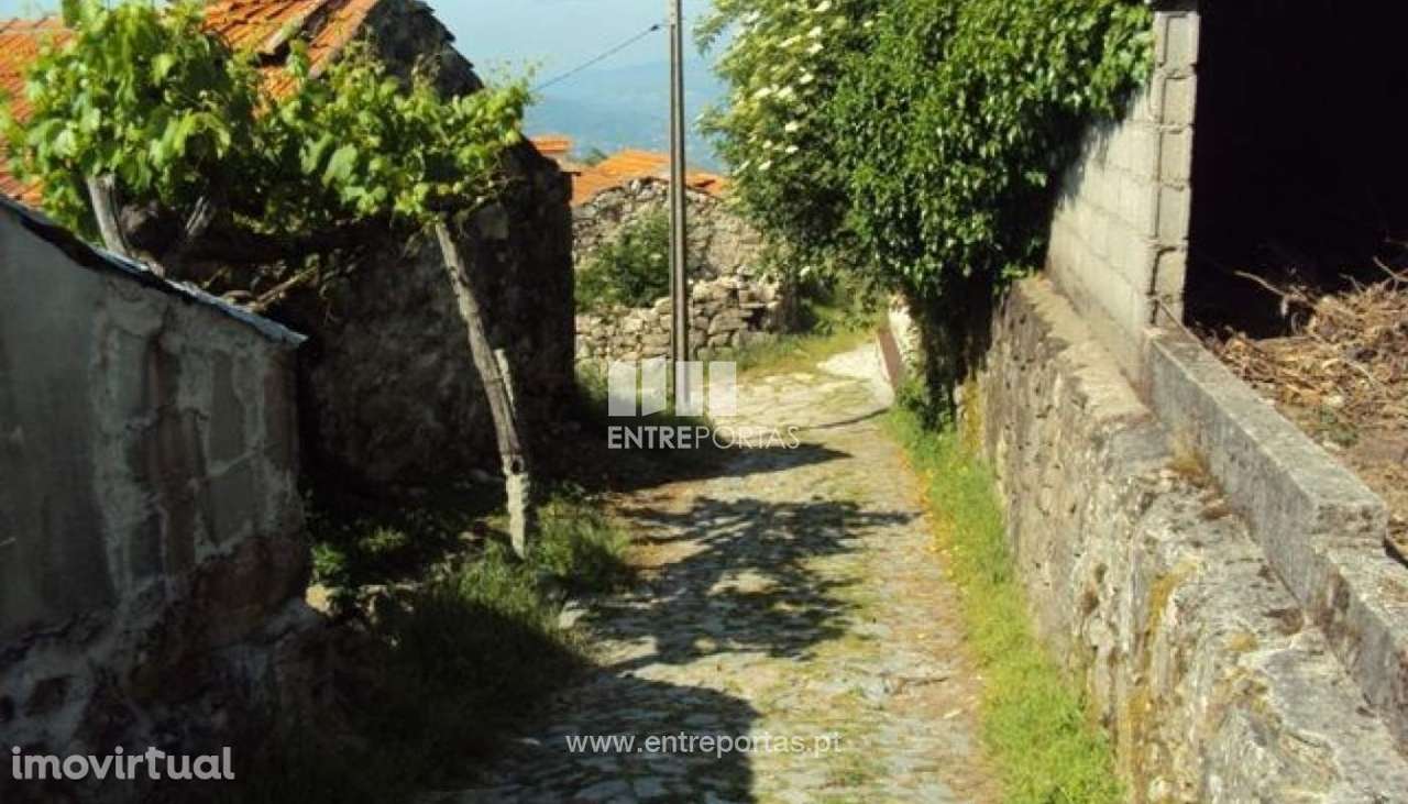 Venda Moradia, Santiago de Piães, Cinfães - Grande imagem: 3/6