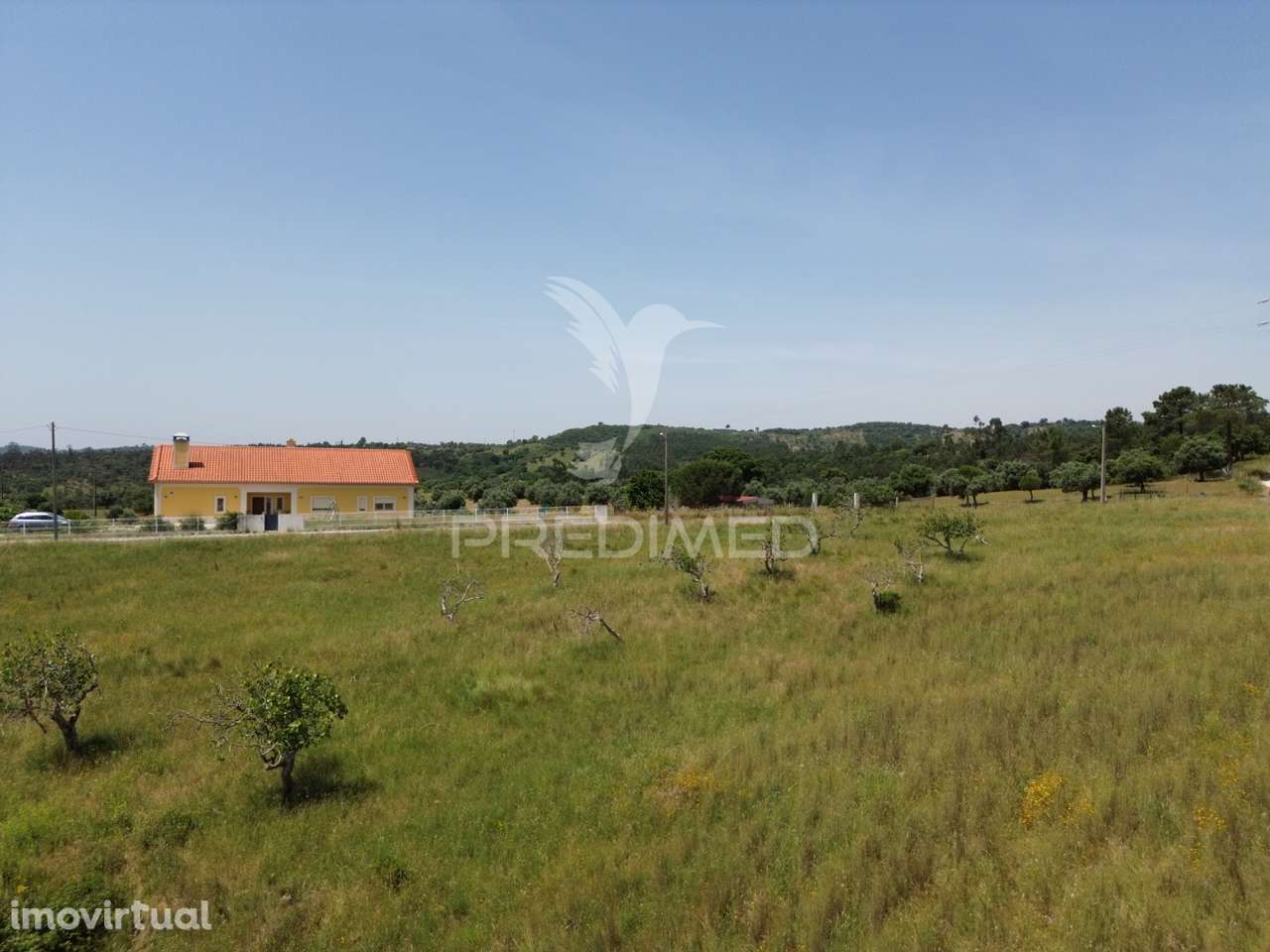 Terreno Rústico - Vila Moreira, Alcanena - Grande imagem: 3/11