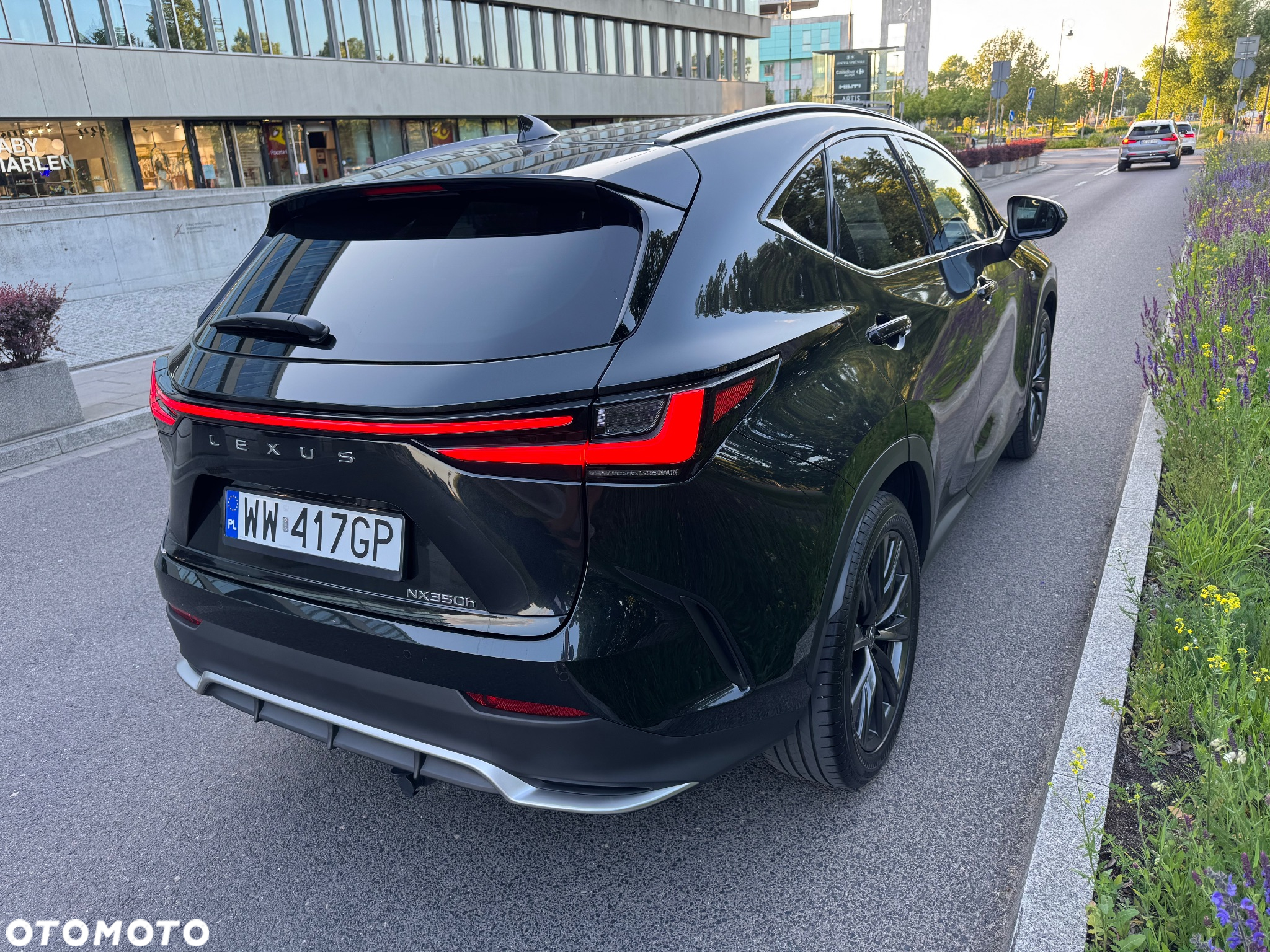 Lexus NX 350h F Sport AWD