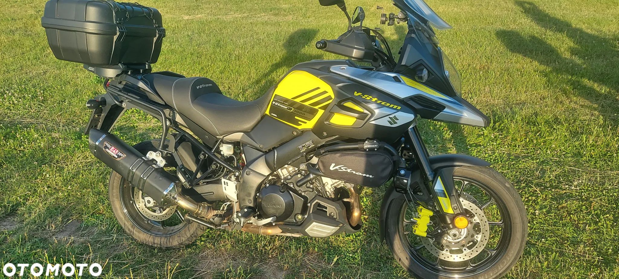 Suzuki DL
