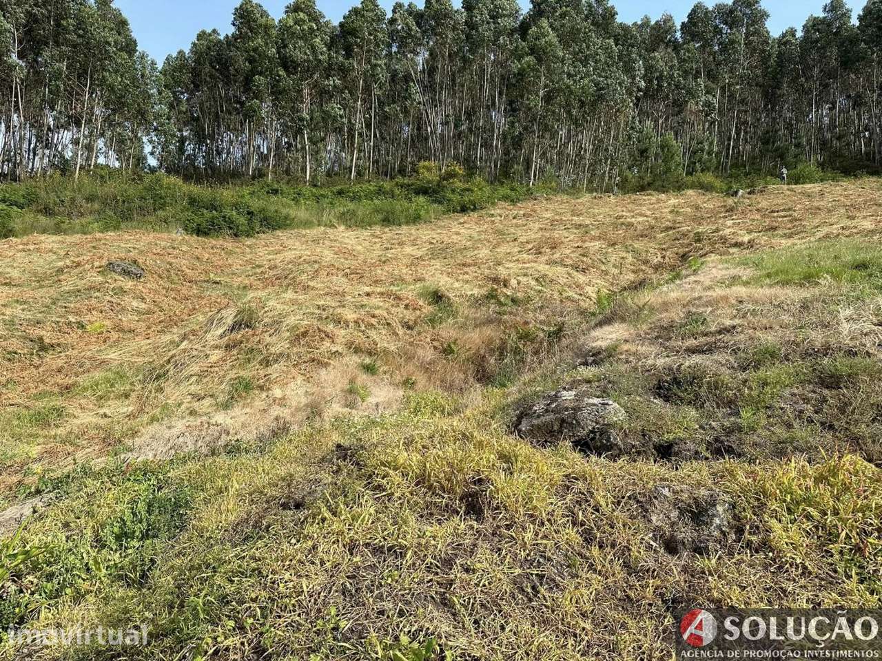 Terreno rustico c/vistas panorâmicas - Grande imagem: 5/7