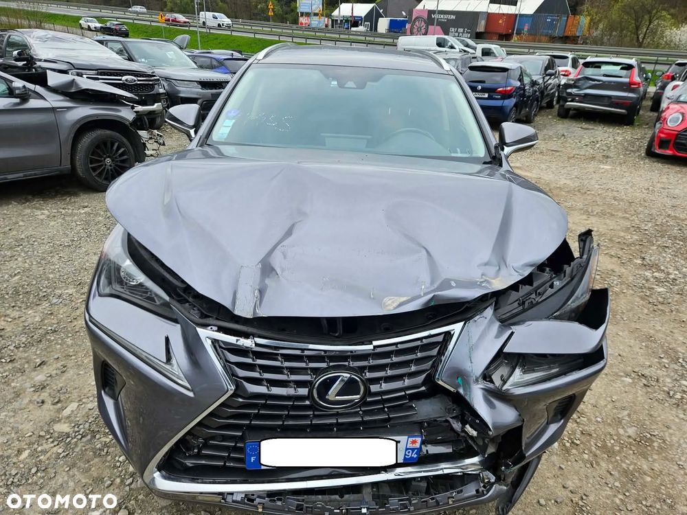 Lexus NX 300h Elite AWD - 13