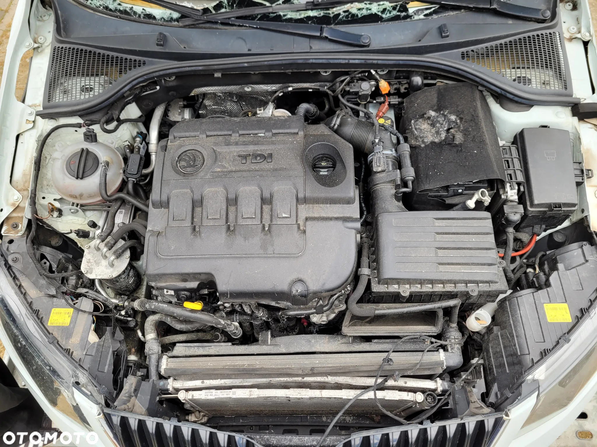 Skoda Octavia 1.6 TDI 4x4 Ambition - 14