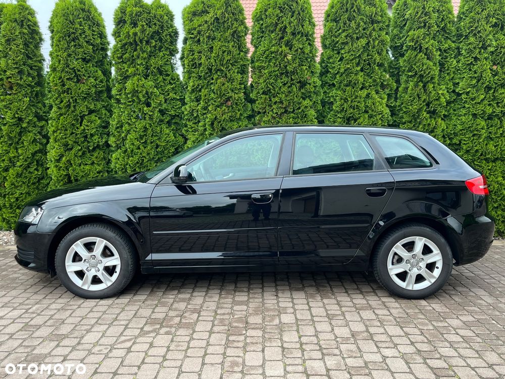 Audi A3 Sportback 1.6 Ambiente - 14