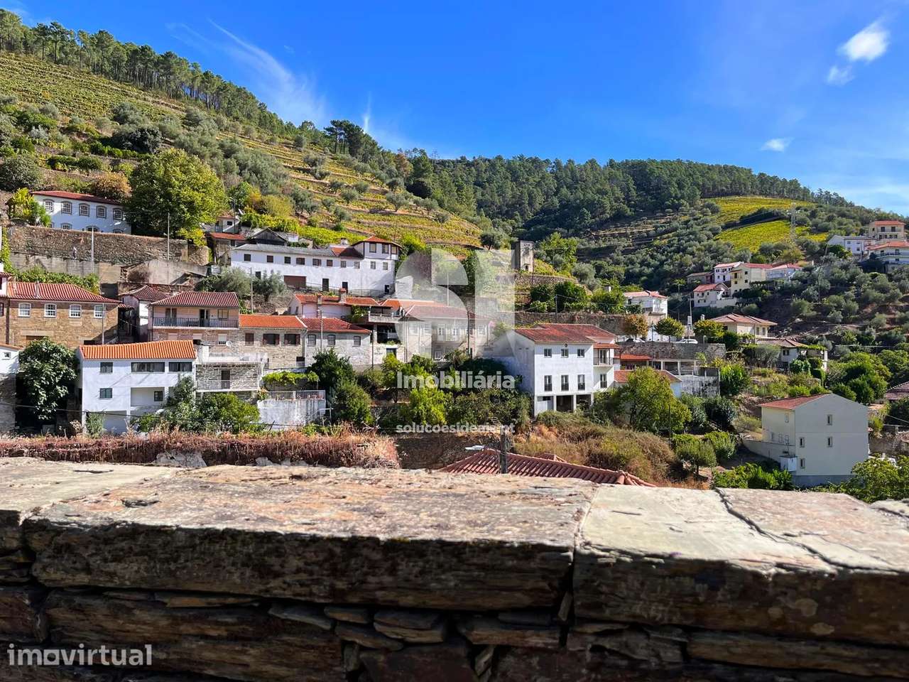 Terreno em Sabrosa - Grande imagem: 5/19