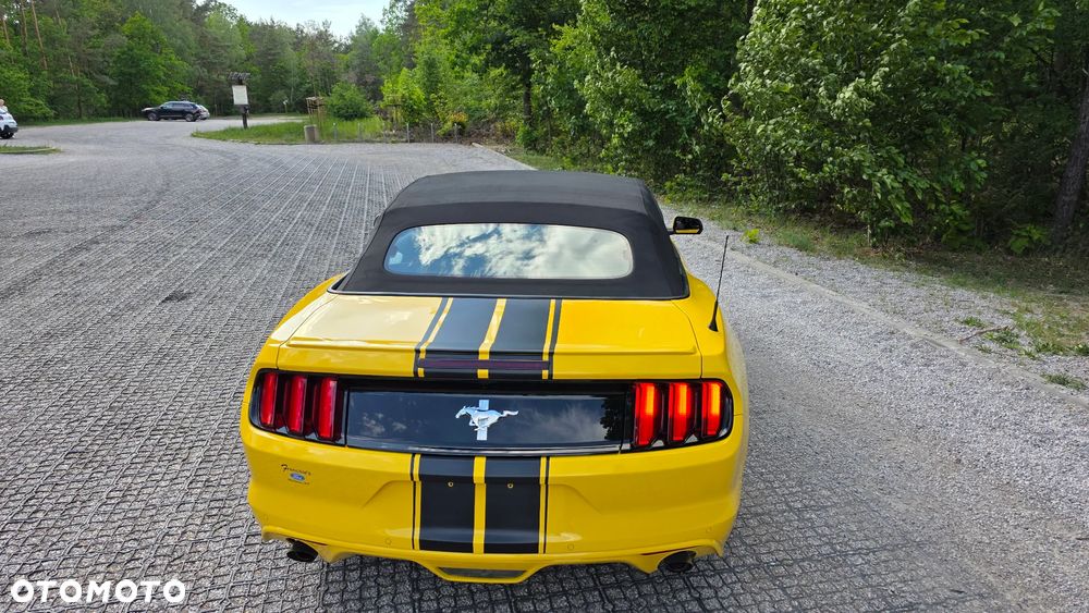 Ford Mustang 3.7 V6 - 12