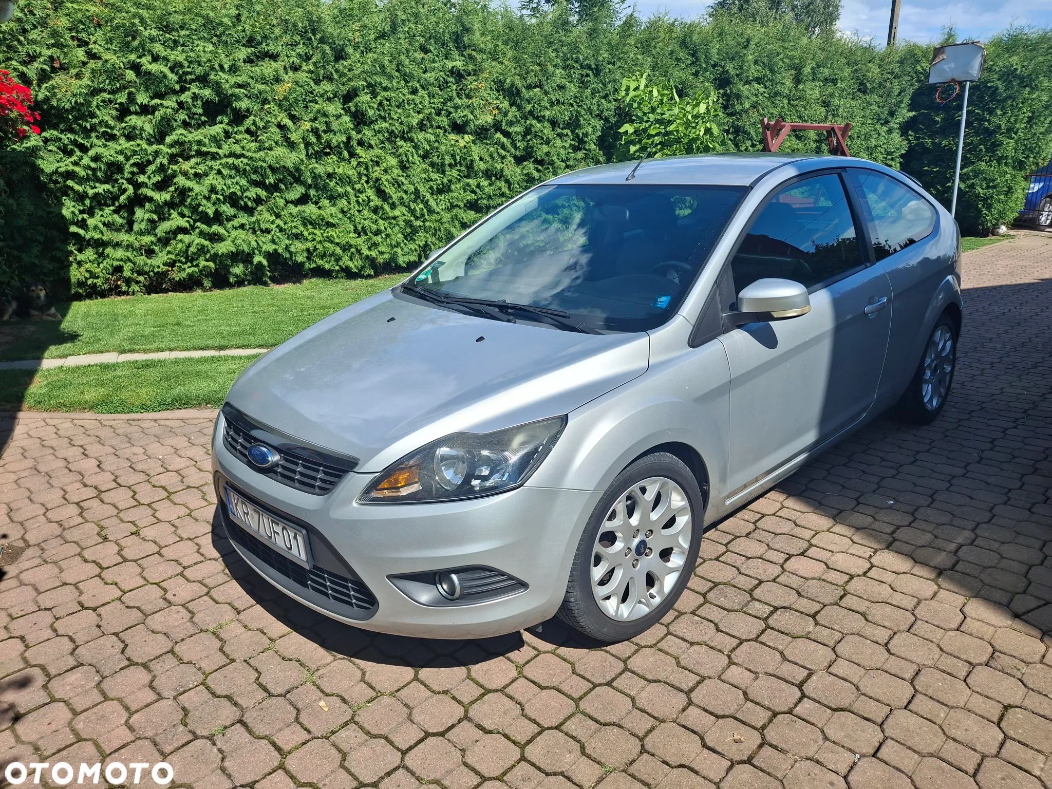 Ford Focus - 1