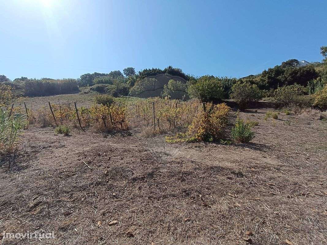 Terreno  para venda - Grande imagem: 5/12