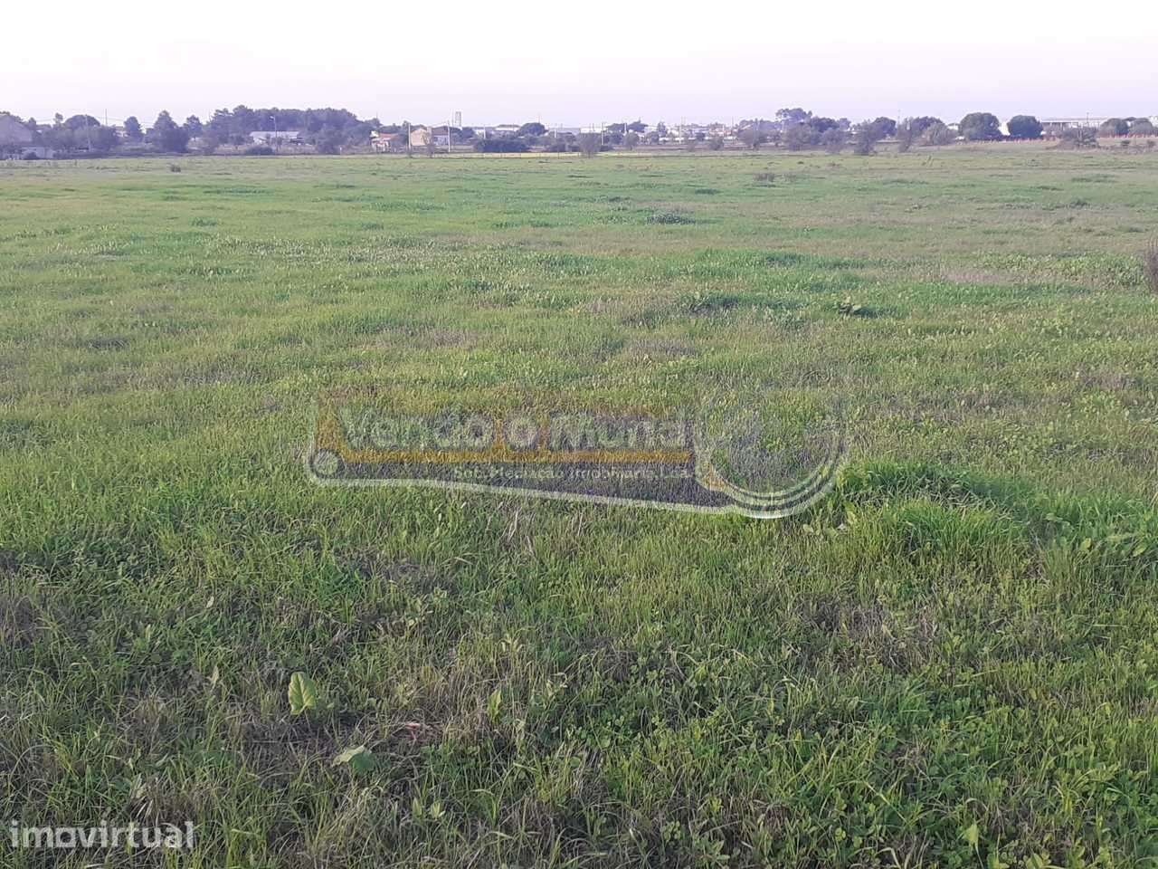 Terreno em Benavente (B501) - Grande imagem: 4/6