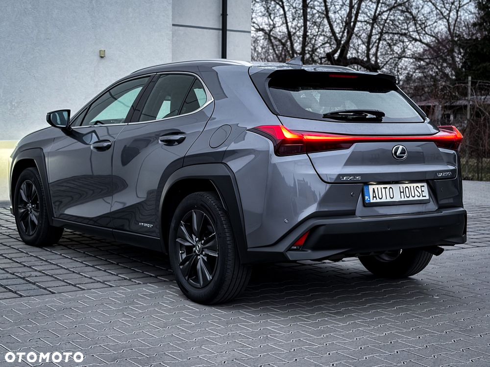 Lexus UX 250h Executive Line - 10