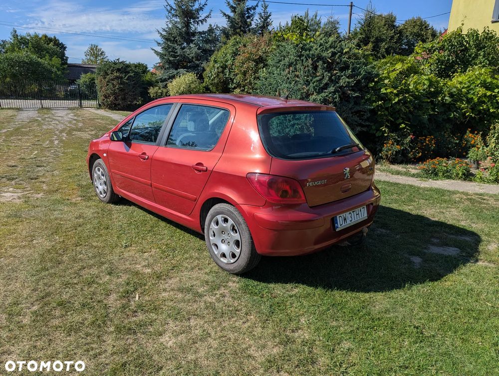 Peugeot 307 1.6 - 6