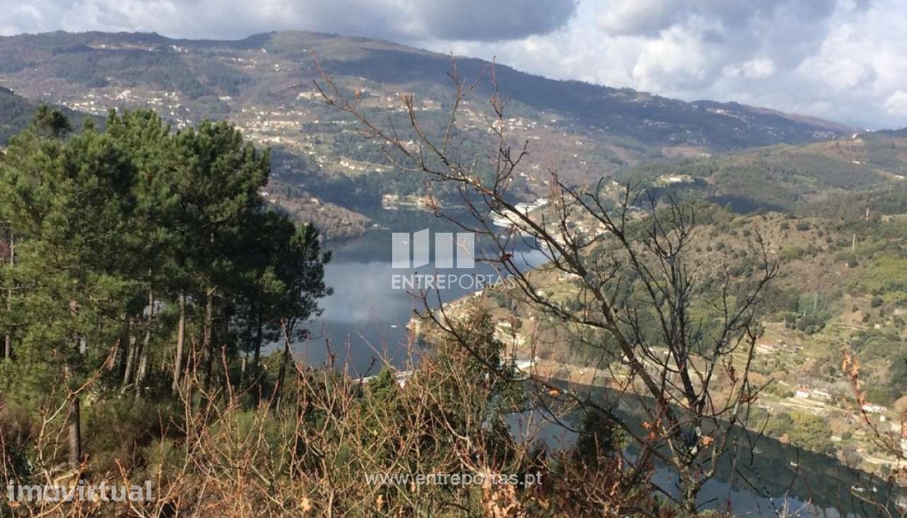 Venda Terreno, Oliveira do Douro, Cinfães - Grande imagem: 5/26