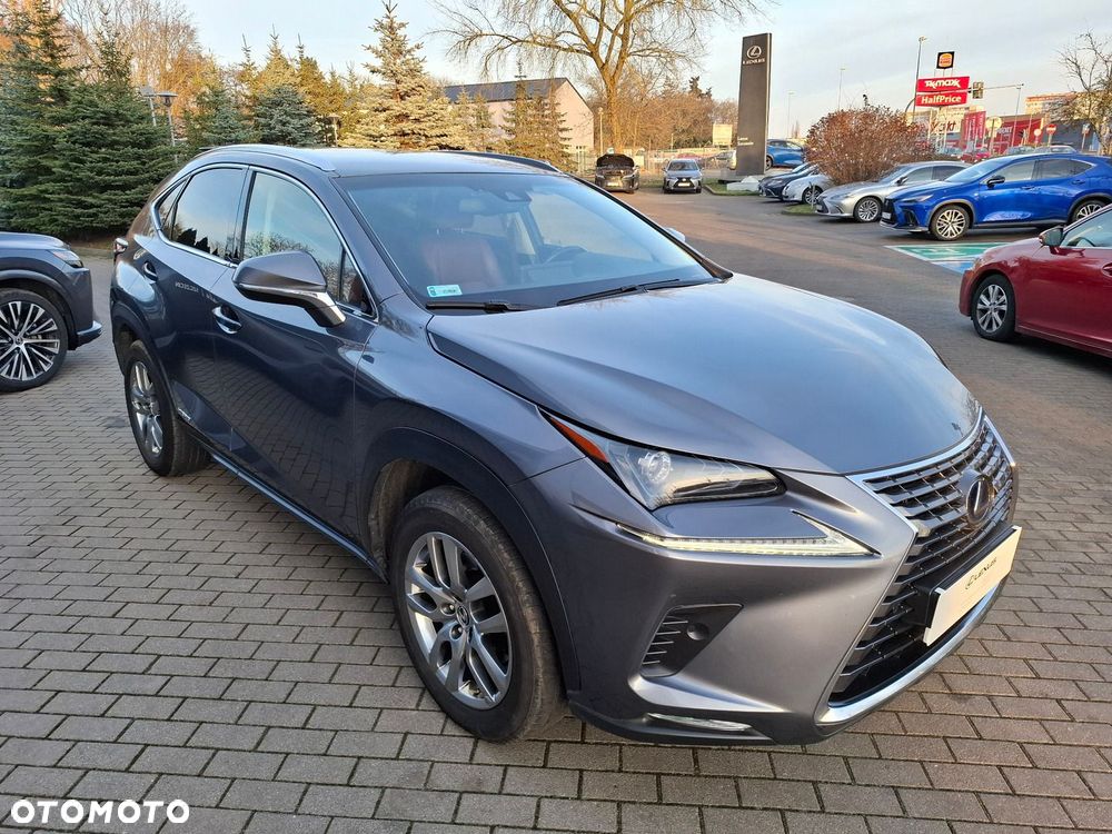 Lexus NX 300h Comfort AWD - 7