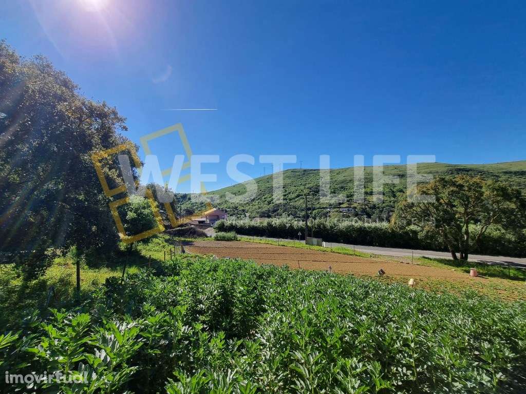 Terreno urbanizável de 1832m2 e ruínas para recuperação total - Grande imagem: 2/19