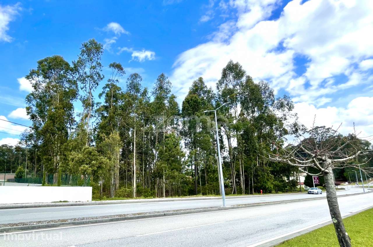 Terreno para construção com 2.450 m2, em Cesar (OAZ) - Grande imagem: 3/15