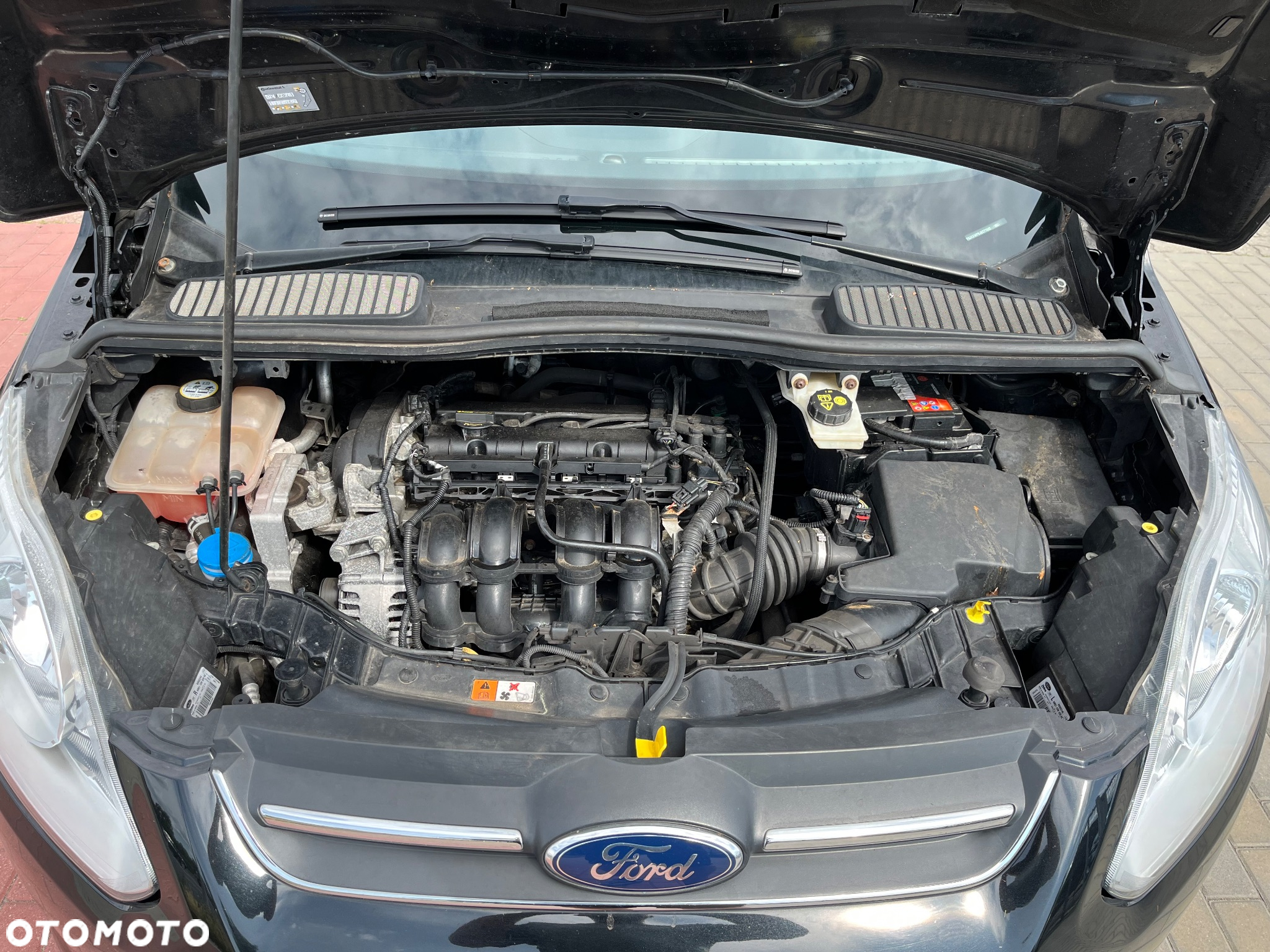 Ford C-MAX 1.6 Ti-VCT Ambiente - 22
