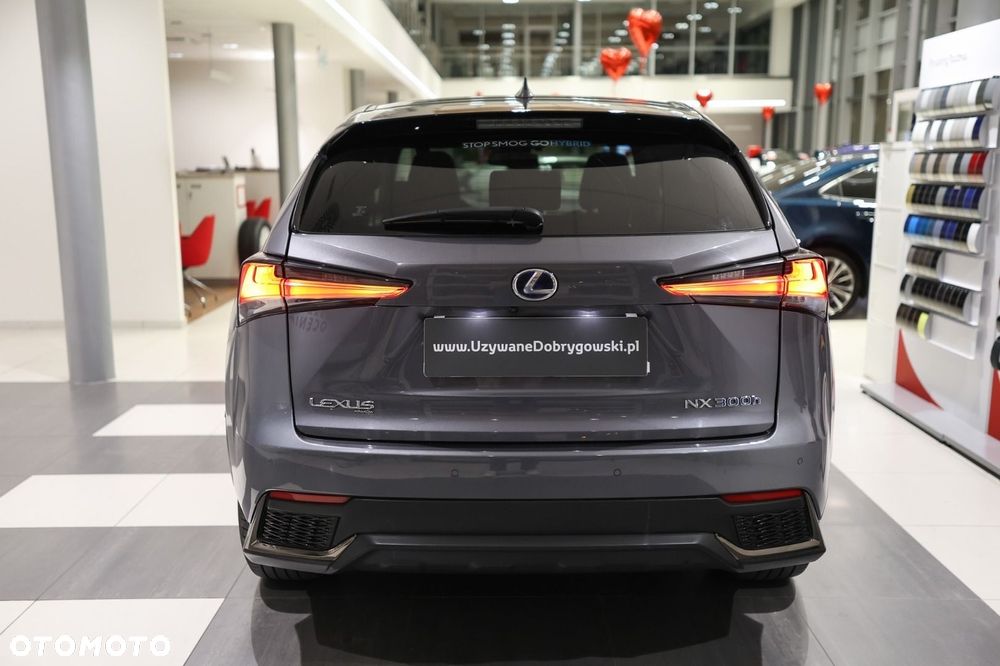 Lexus NX - 6