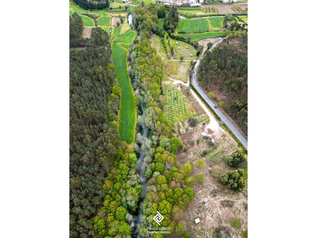 Terreno 60000m2, para fins turísticos junto ao Rio Neiva - Grande imagem: 2/17