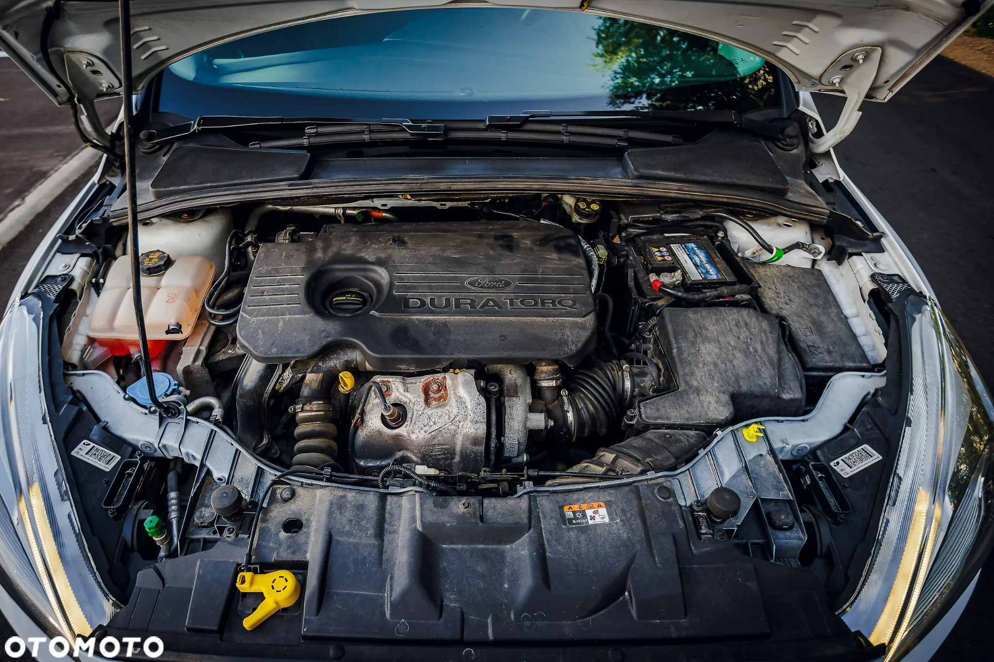 Ford Focus 1.5 EcoBlue Connected - 11