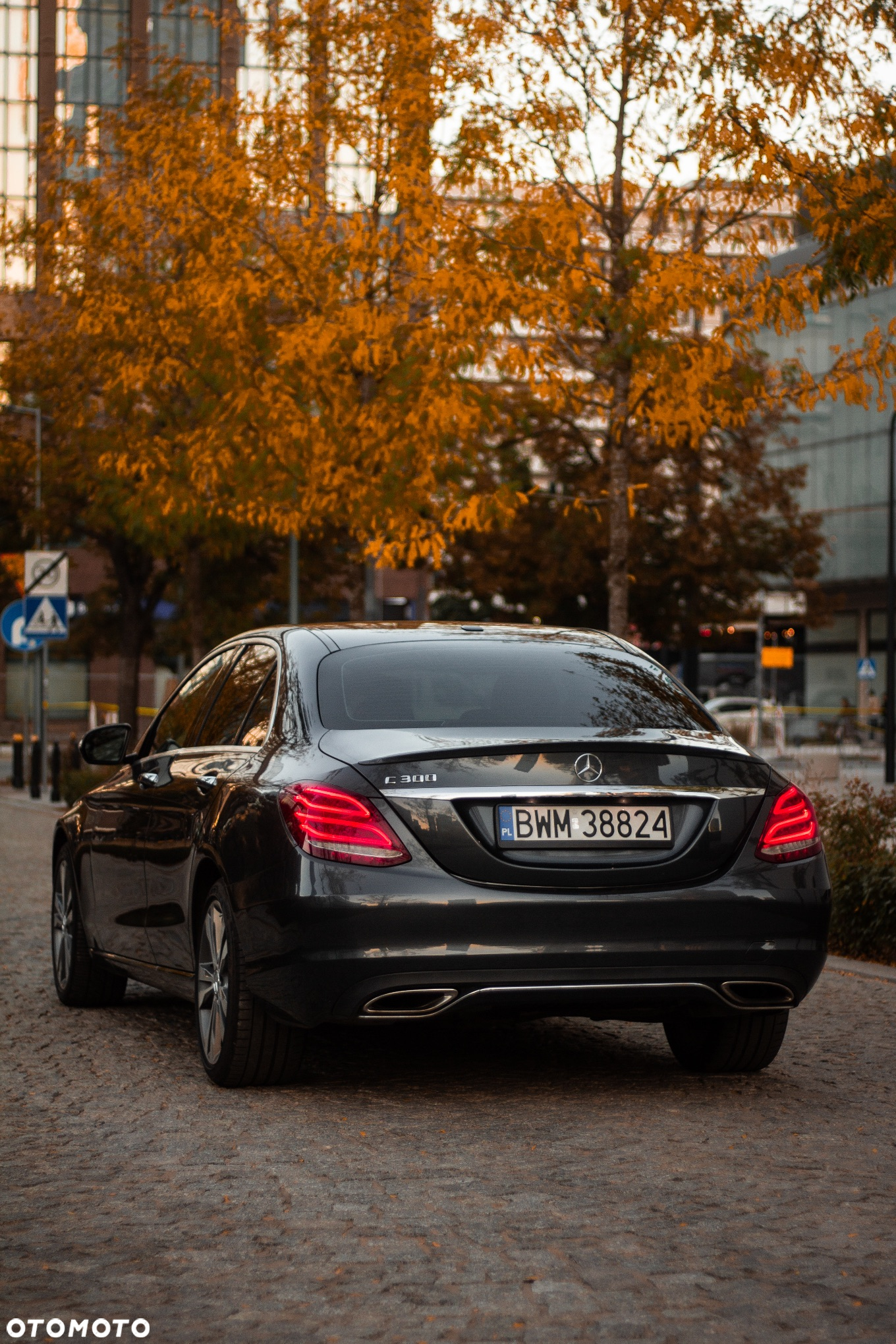 Mercedes-Benz Klasa C 300 7G-TRONIC - 14