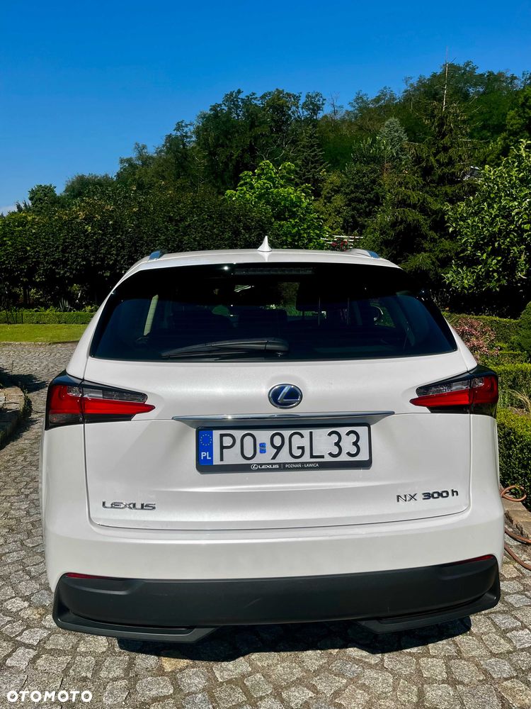 Lexus NX - 5