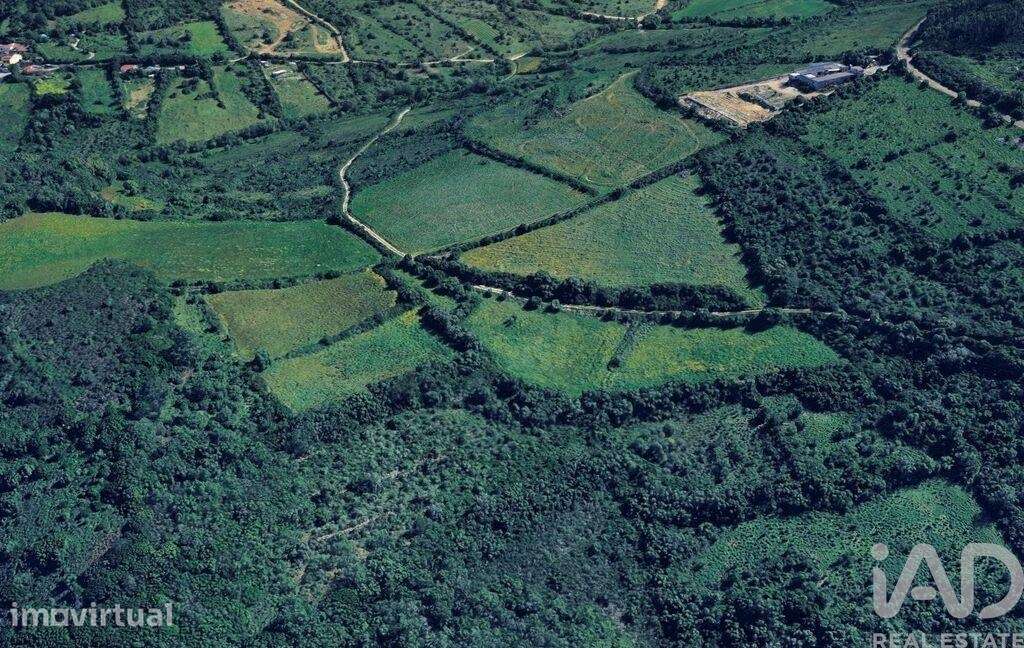 Terreno Agrícola em Igreja Nova e Cheleiros - Grande imagem: 3/11