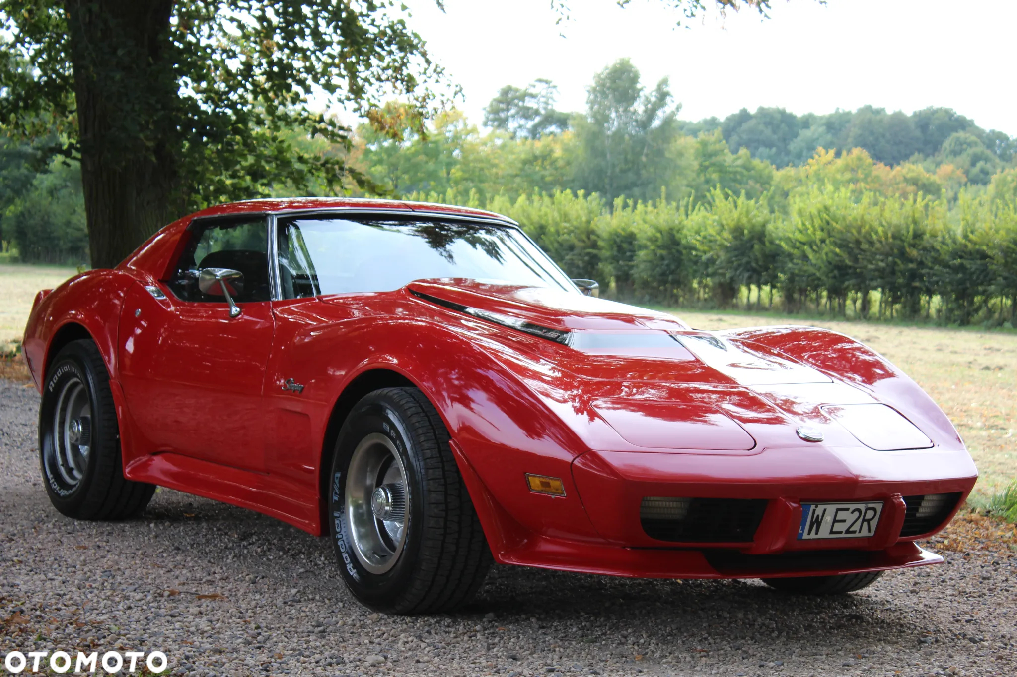 Chevrolet Corvette - 9