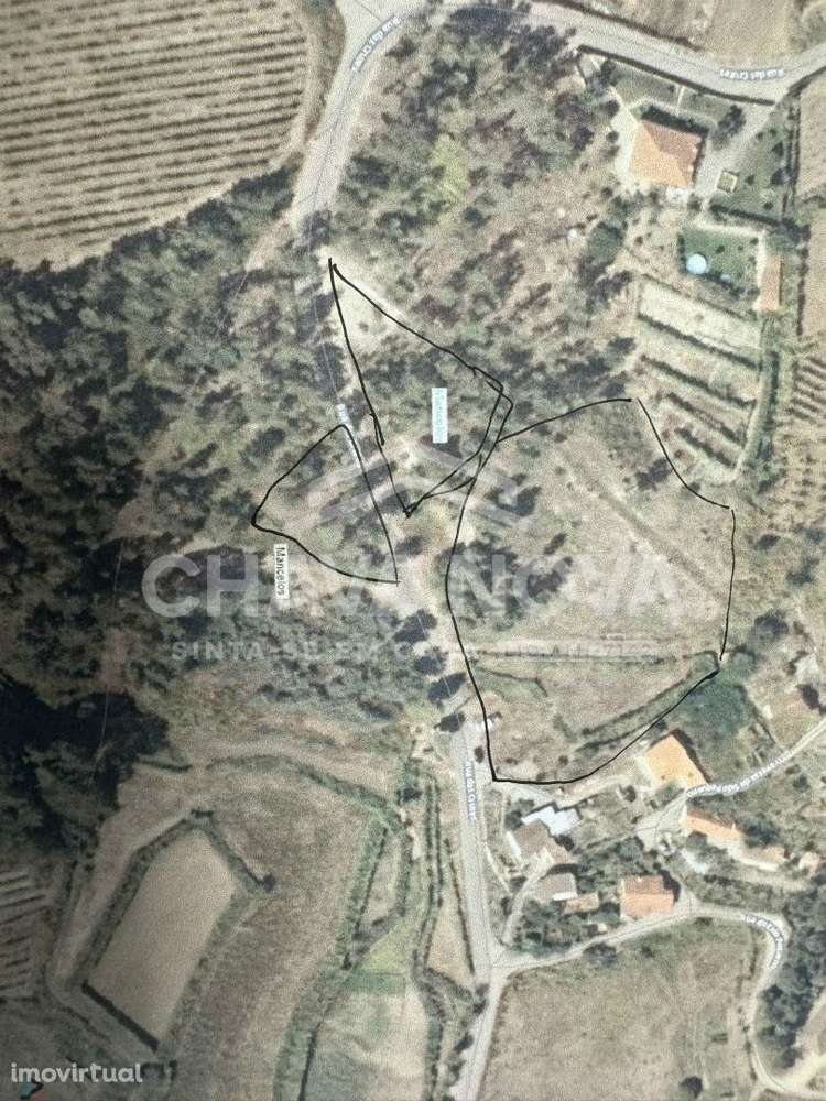 Terrenos C/ 9275m² - Mancelos (Amarante) - Grande imagem: 4/4
