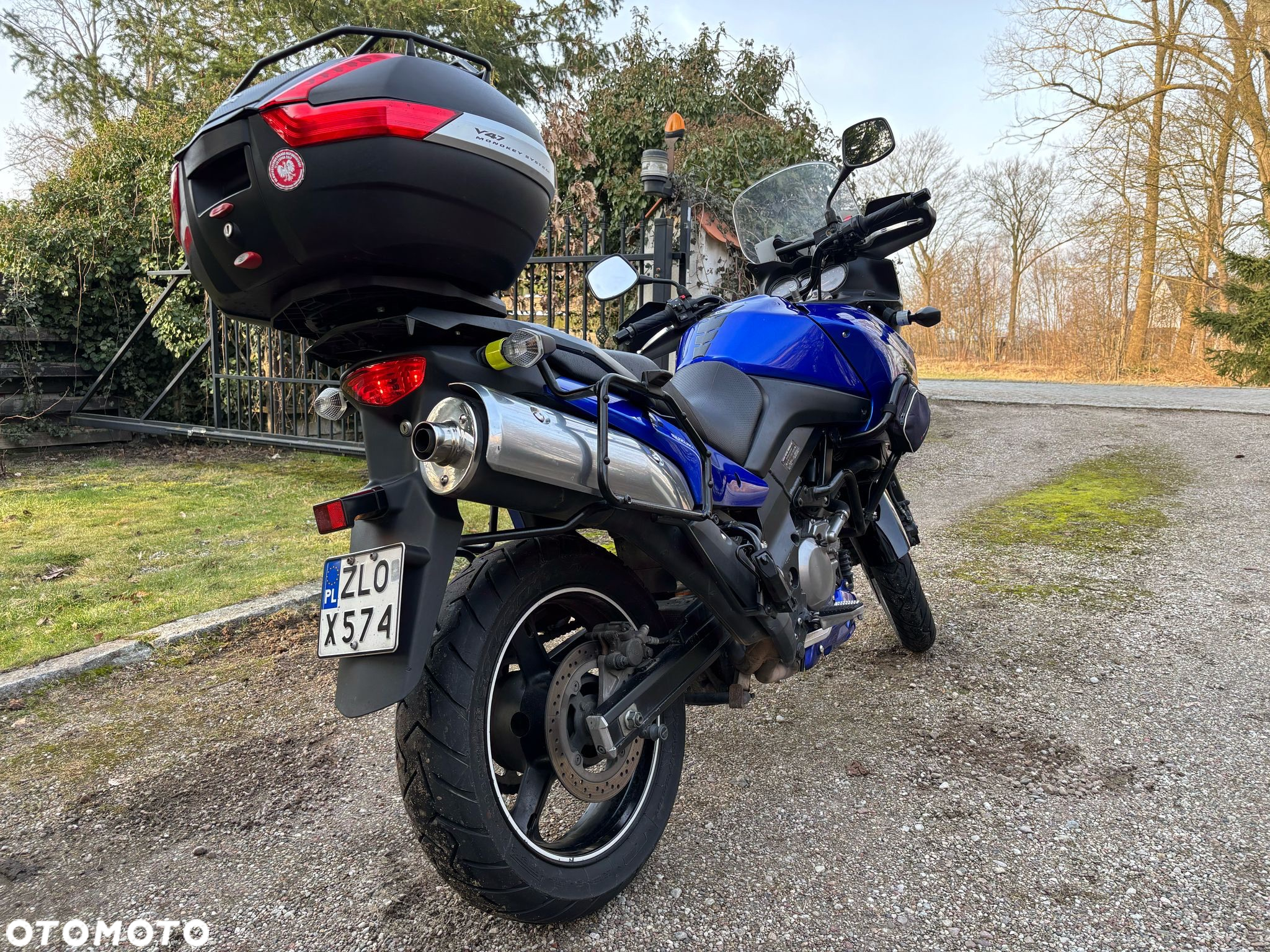 Suzuki DL - 15