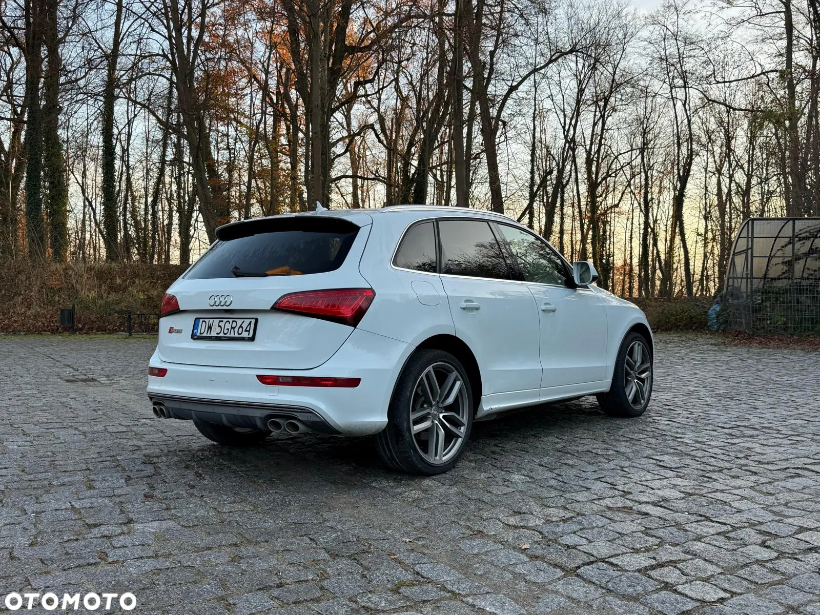 Audi SQ5 - 6