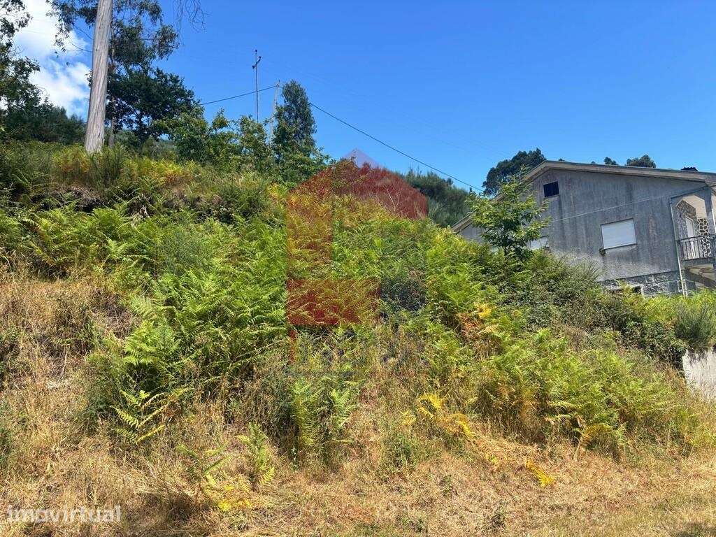 Terreno agrícola, Duas Igrejas - Grande imagem: 3/10