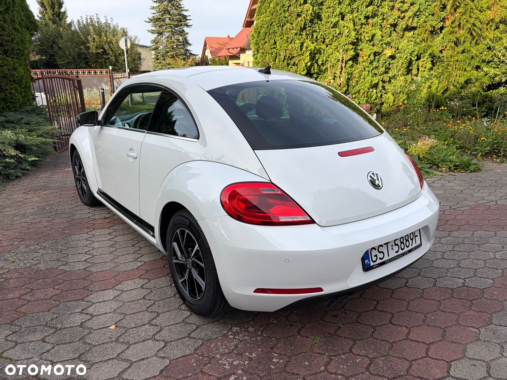 Volkswagen Beetle - 6