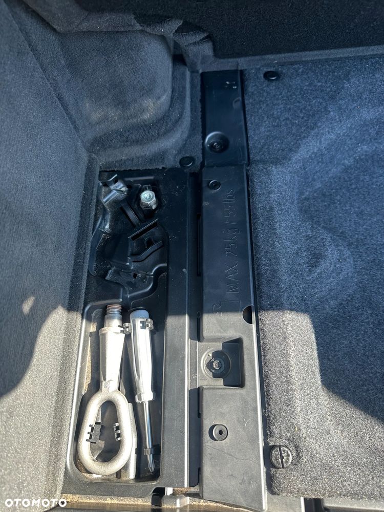 BMW Seria 3 330d DPF - 10