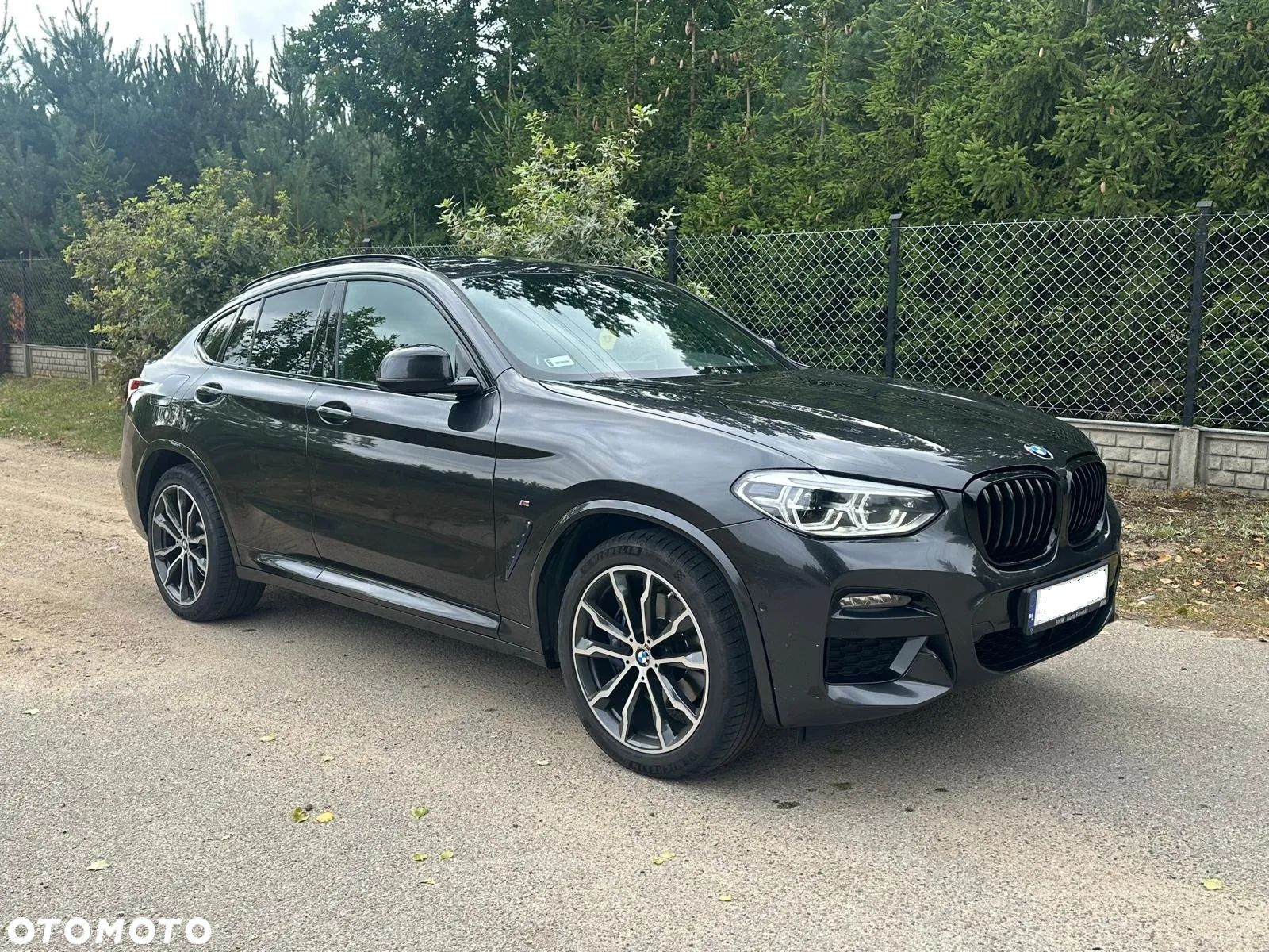 BMW X4 xDrive30d Advantage sport - 3