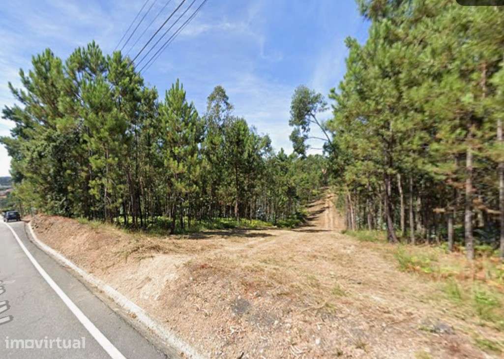 Terreno Urbano em Sandim – Excelente Oportunidade! - Grande imagem: 2/7