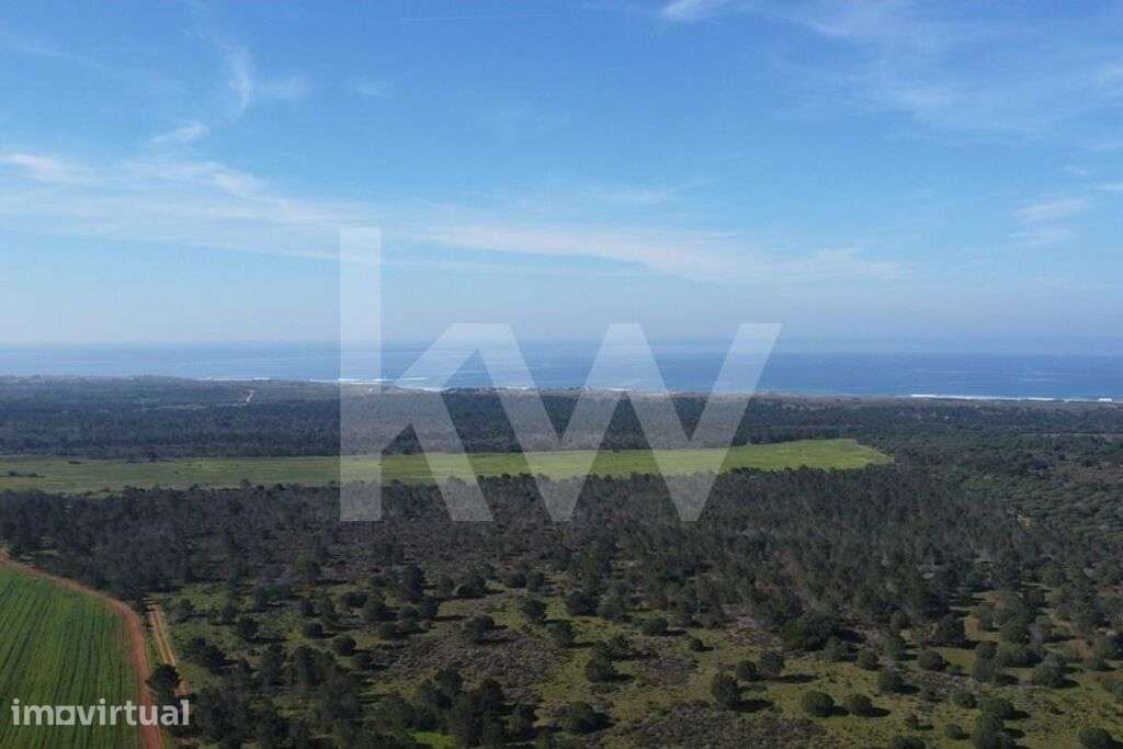 Herdade com 248Ha, nas proximidades de Porto Covo e com potencial inve - Grande imagem: 4/33