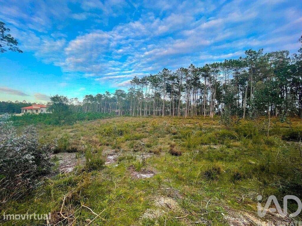 Terreno para construção em Monte Redondo e Carreira de 890,00 m2