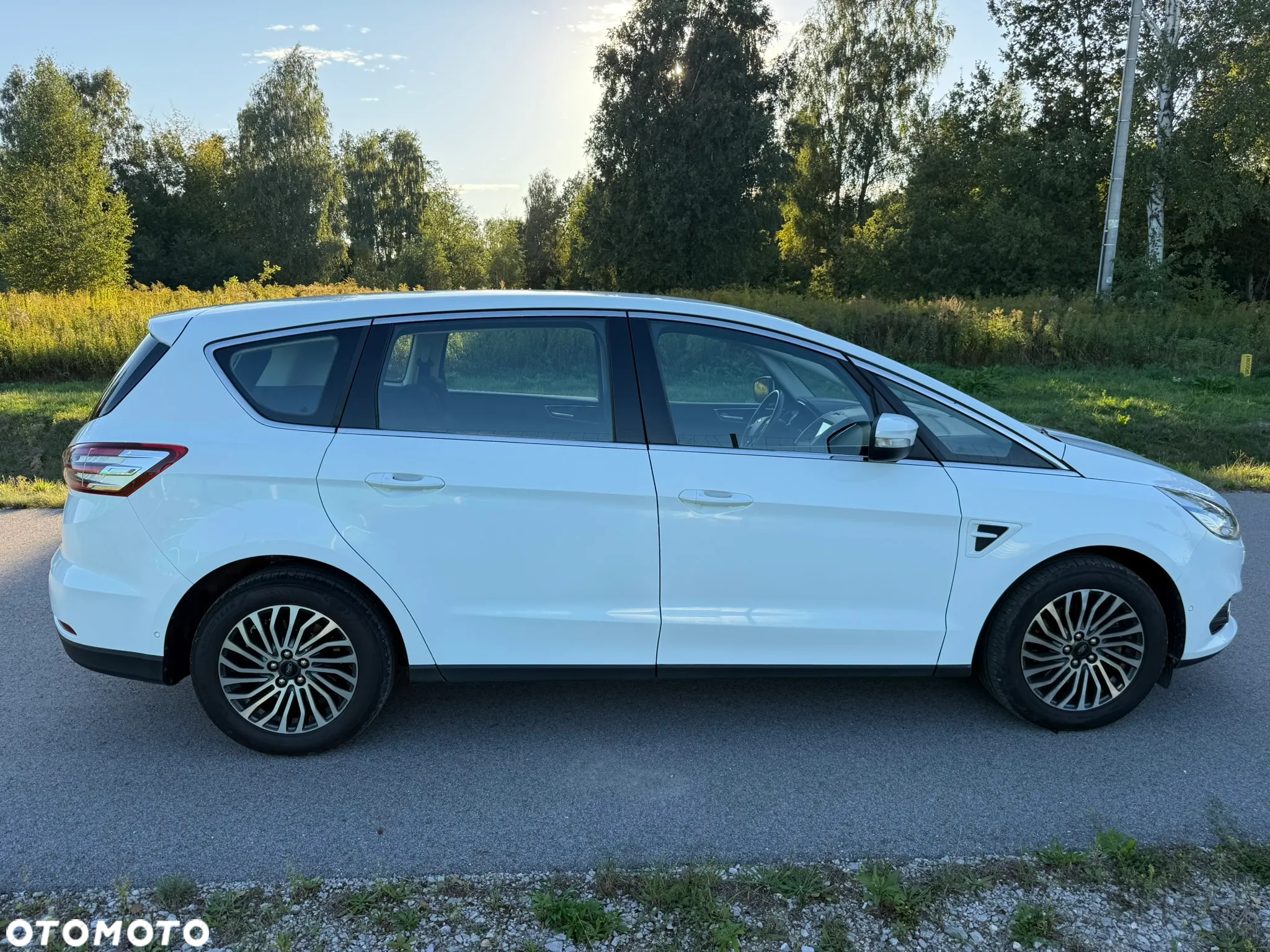 Ford S-Max 2.0 EcoBlue Titanium - 12