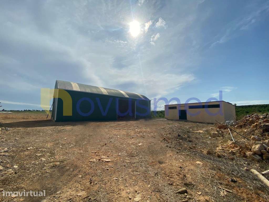 Quinta em plena produção de laranjal, exploração agrícola, Algarve,... - Grande imagem: 2/11