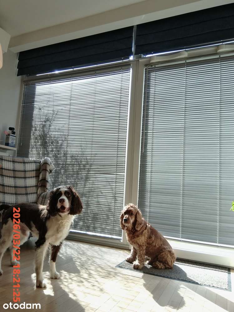 Mieszkanie 60 m² z ogródkiem | Wola | zwierzęta mile widziane