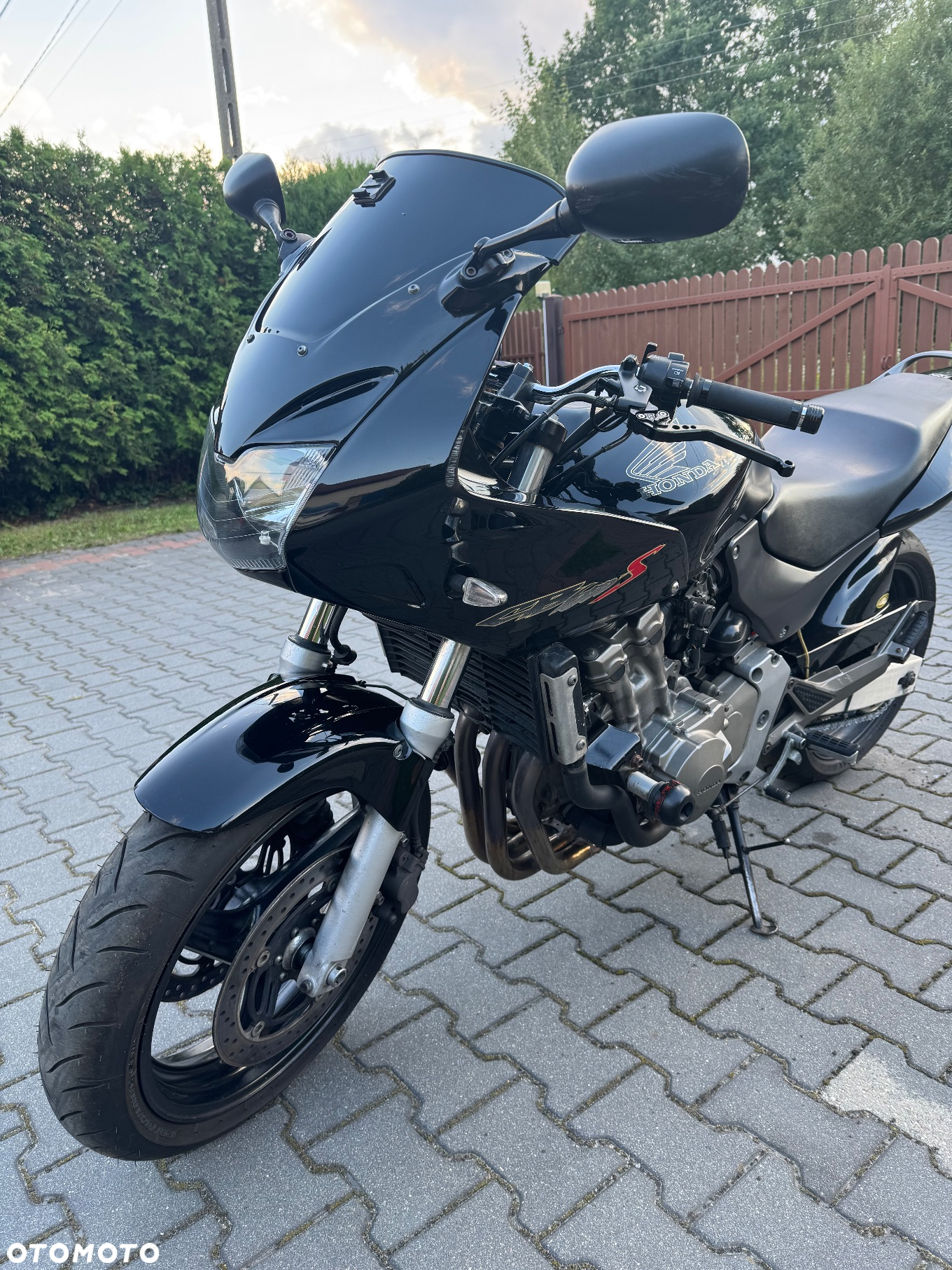 Honda Hornet - 19