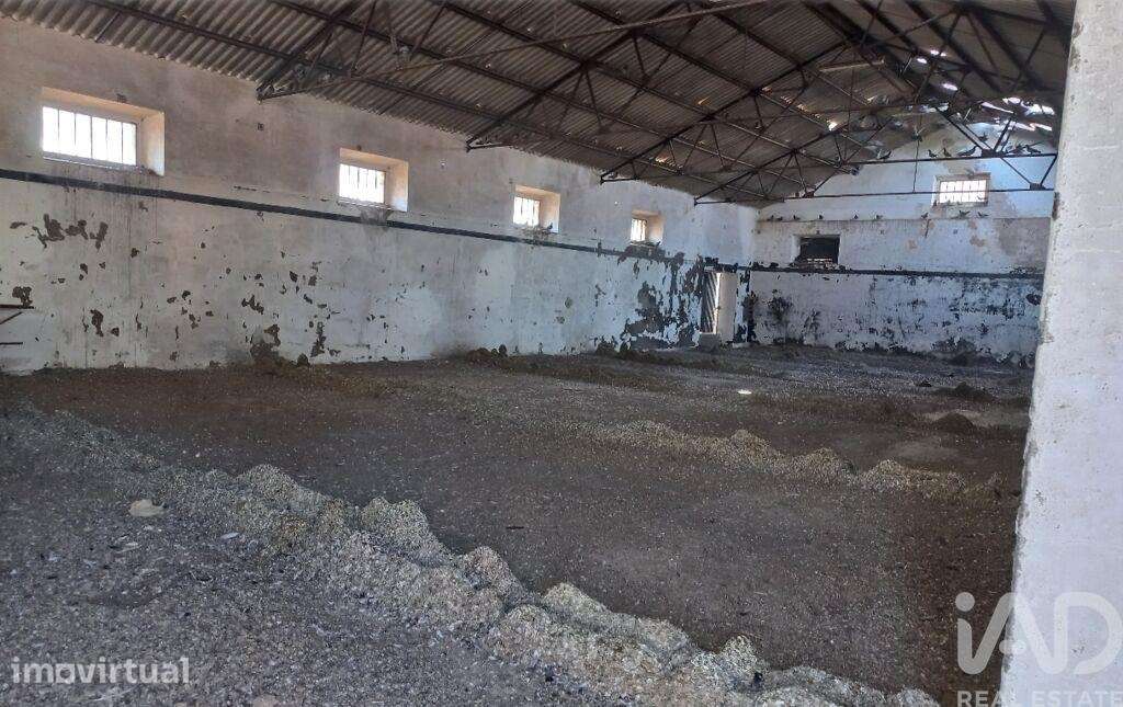 Hangar em Pavia de 360,00 m2 - Grande imagem: 3/4