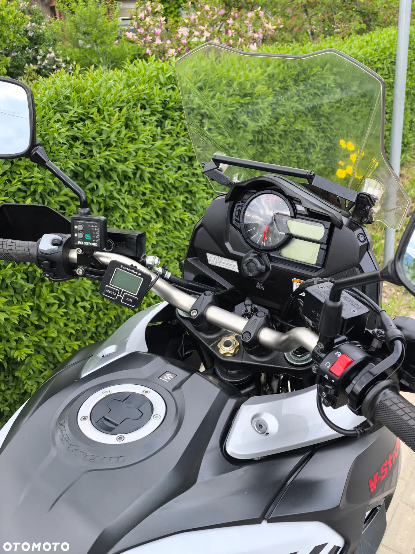 Suzuki DL - 10
